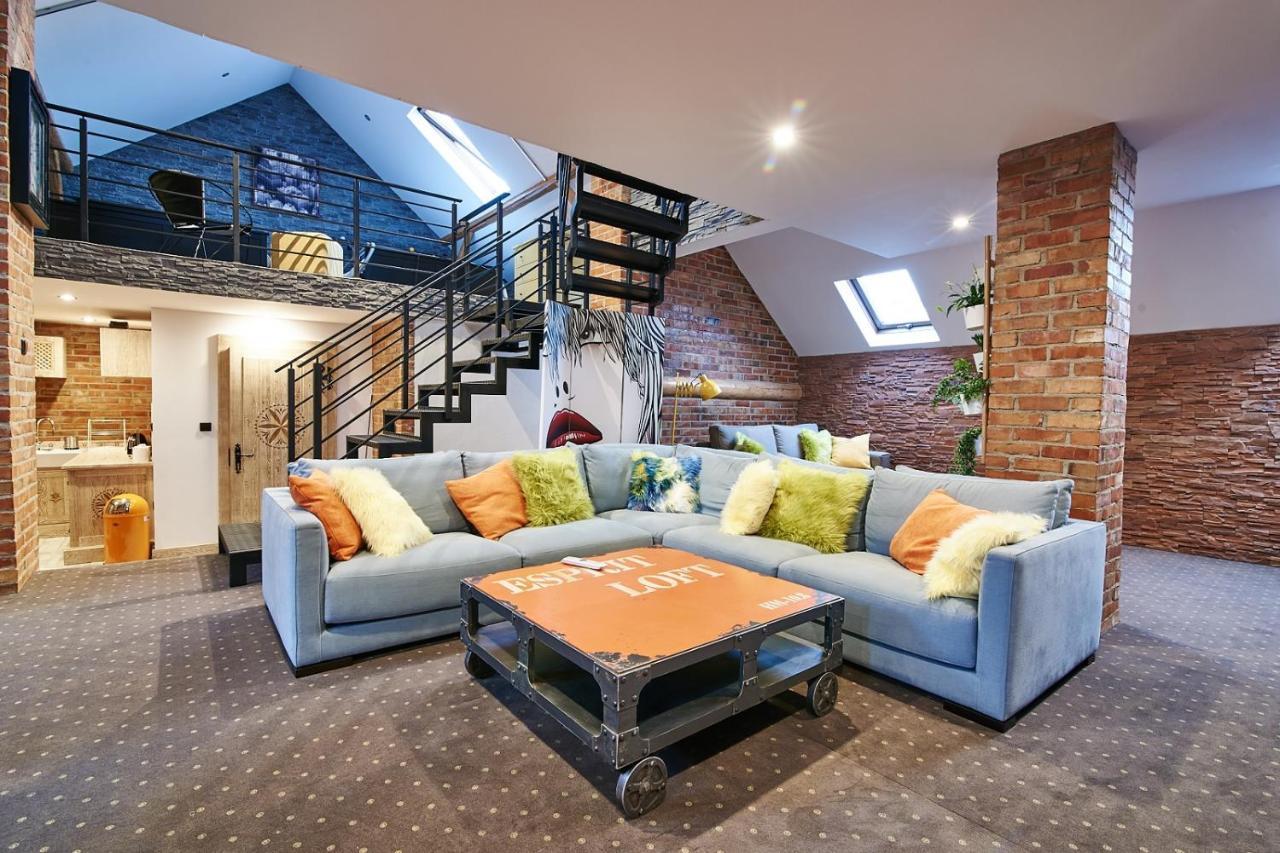 Apartament Dwupoziomowy Nad Tamami ザコパネ エクステリア 写真